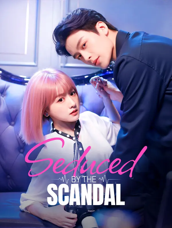 Seduced by the Scandal poster