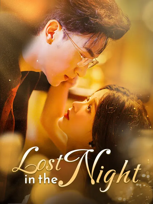 Lost in the Night poster
