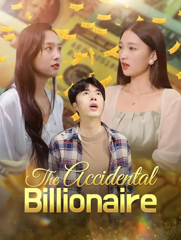 The Accidental Billionaire poster