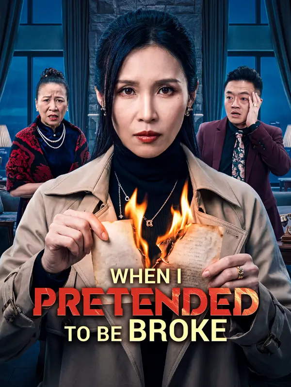 When I Pretended to Be Broke poster
