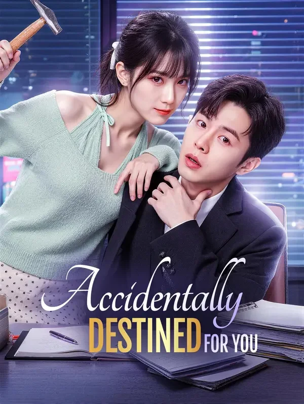 Accidentally Destined for You poster
