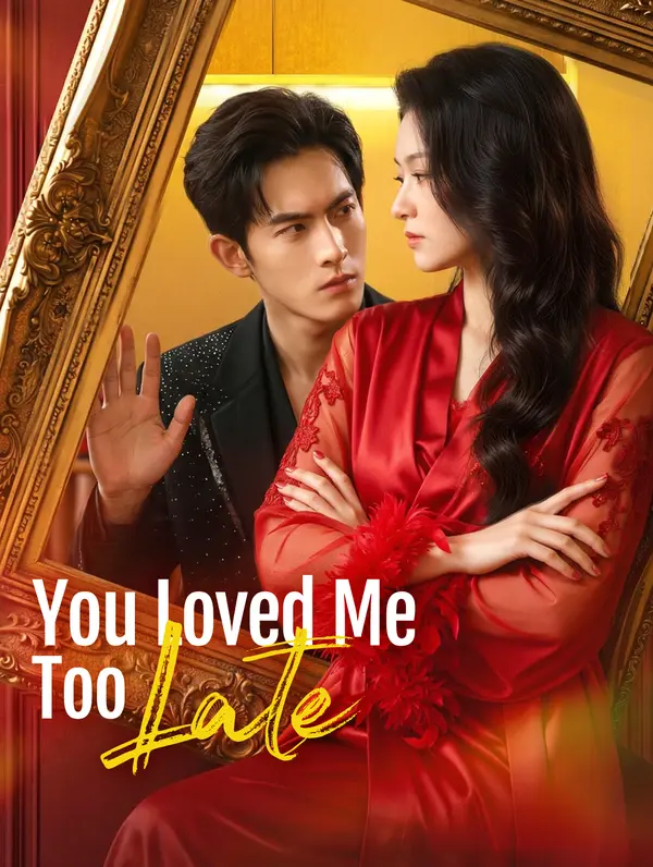 You Loved Me Too Late poster