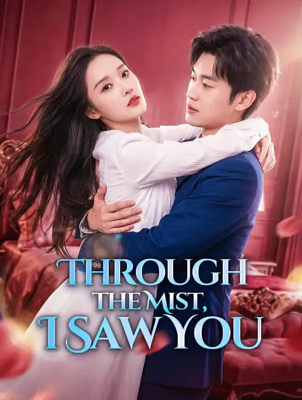 Through the Mist, I Saw You poster