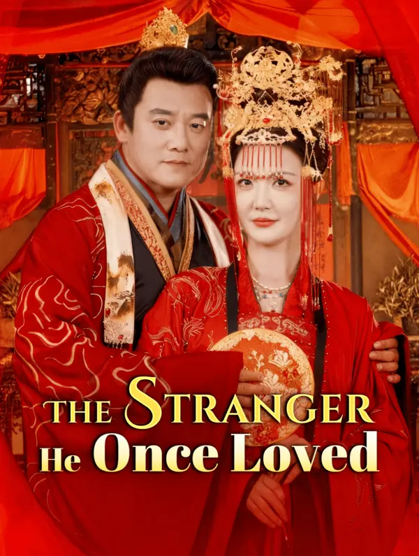 The Stranger He Once Loved poster