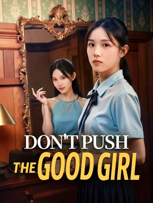 Don't Push the Good Girl poster