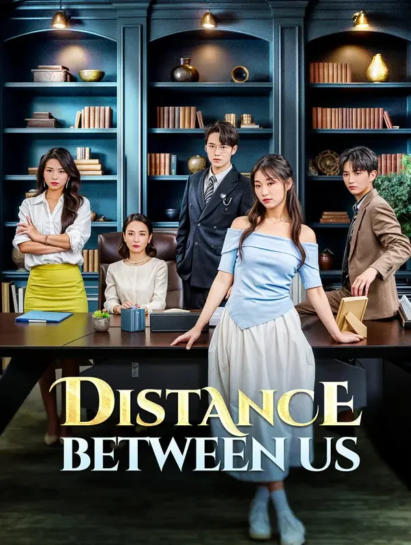 Distance Between Us poster