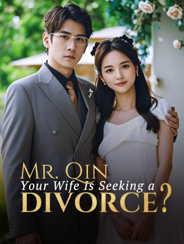 Mr. Qin, Your Wife Is Seeking a Divorce? poster