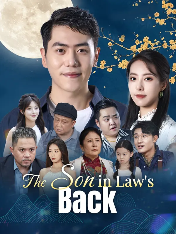 The Son-in-Law's Back poster