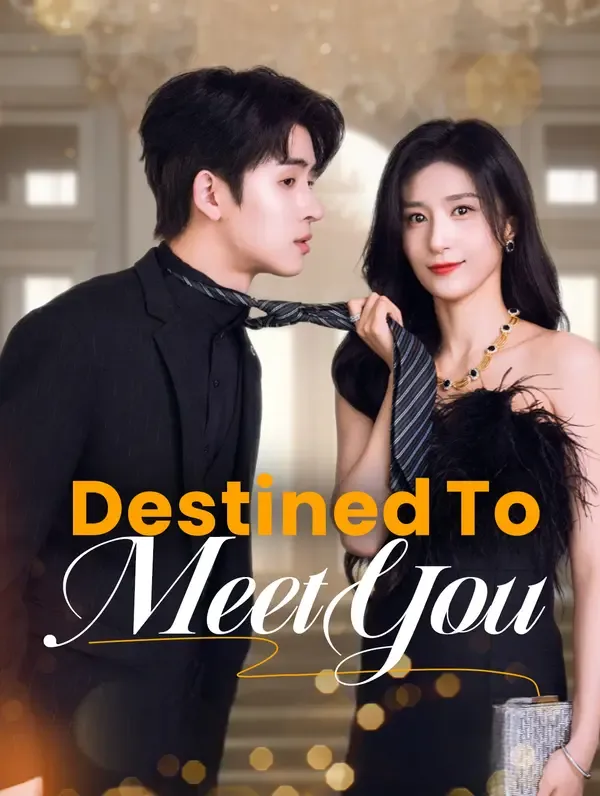 Destined to Meet You poster