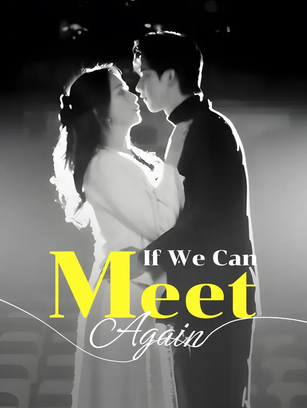 If We Can Meet Again poster
