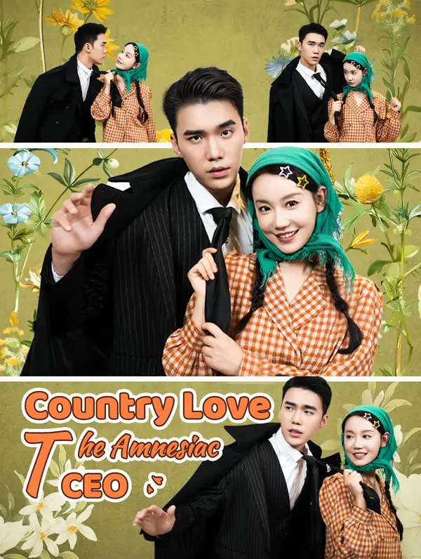 Country Love: The Amnesiac CEO poster