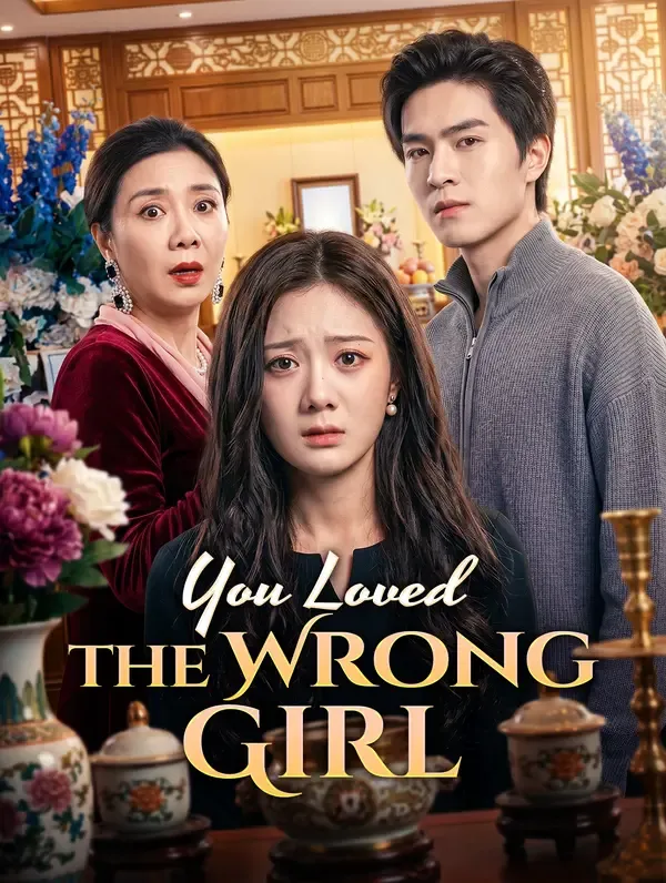 You Loved the Wrong Girl poster