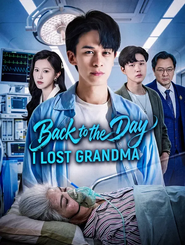 Back to the Day I Lost Grandma poster