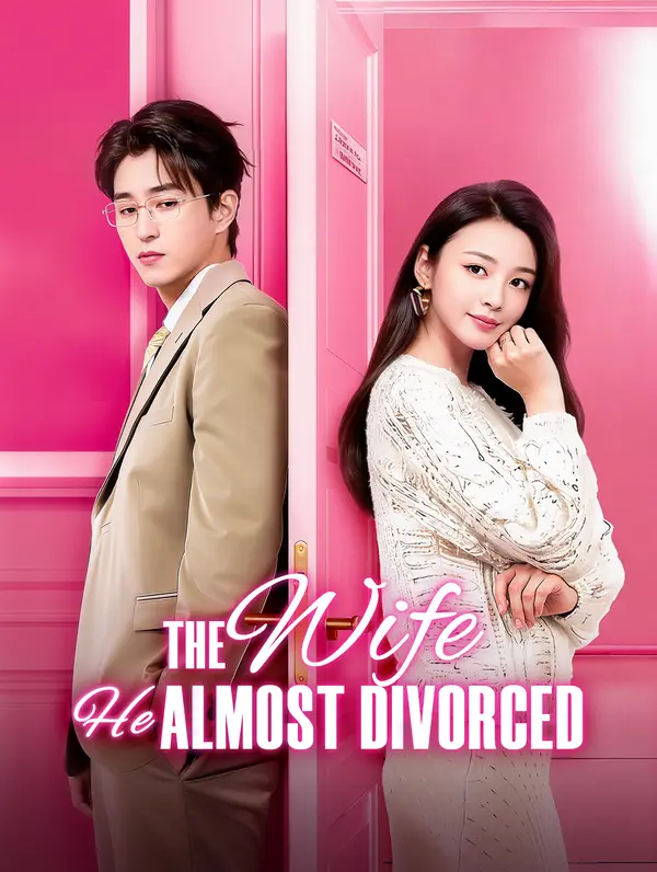 The Wife He Almost Divorced poster