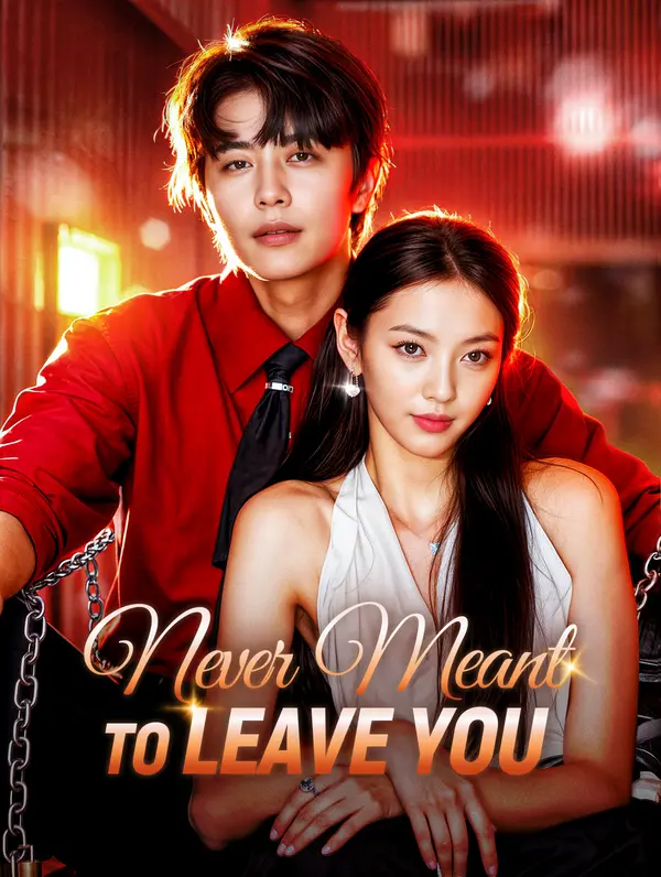 Never Meant to Leave You poster