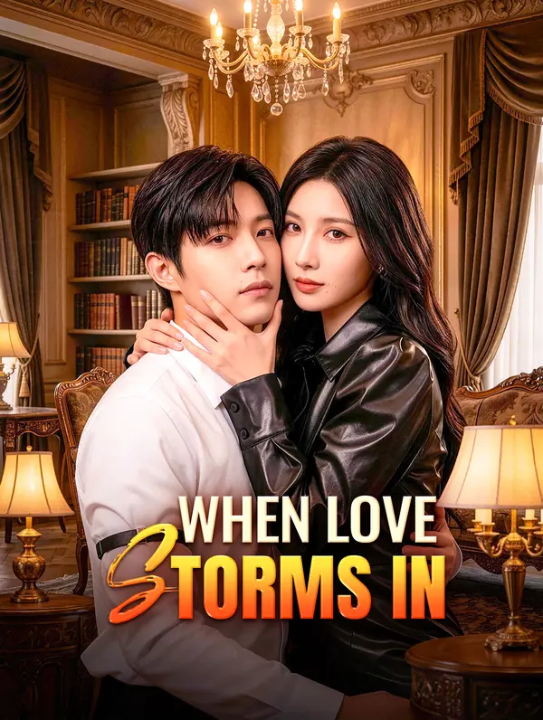 When Love Storms In poster
