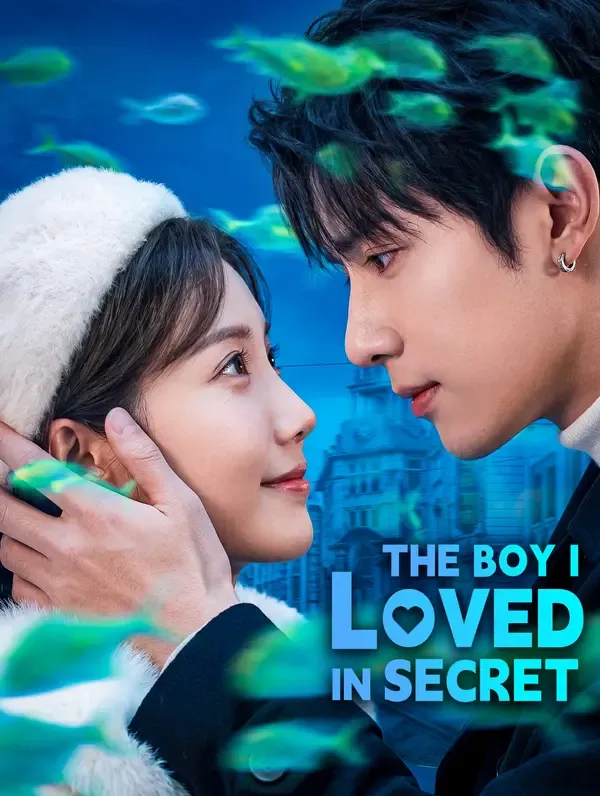 The Boy I Loved in Secret poster