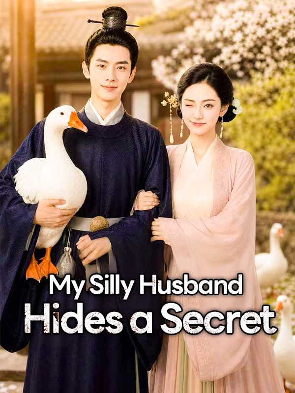 ‌My Silly Husband Hides a Secret poster