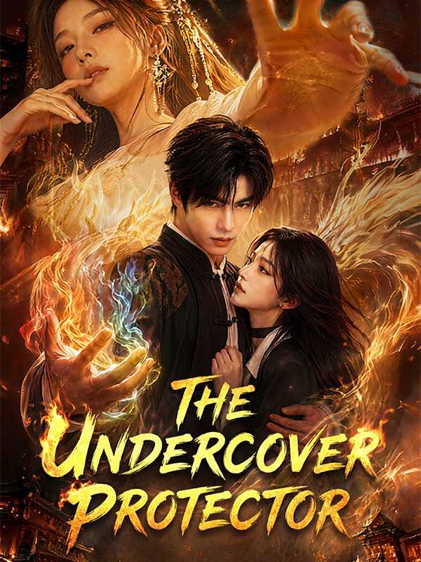 The Undercover Protector poster