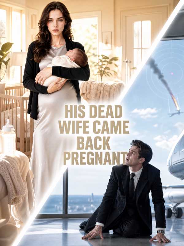 His Dead Wife Came Back Pregnant poster