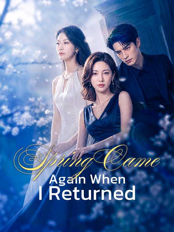 Spring Came Again When I Returned poster