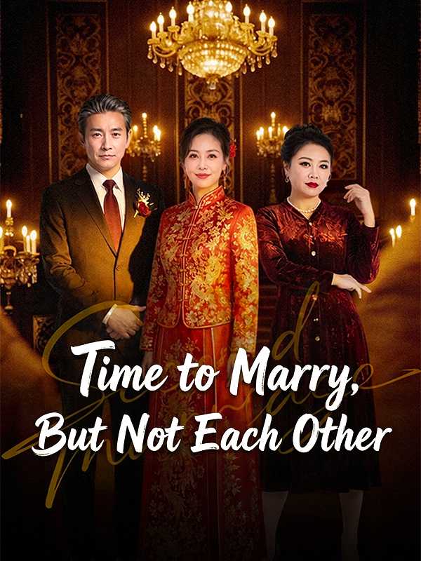 Time to Marry, But Not Each Other poster