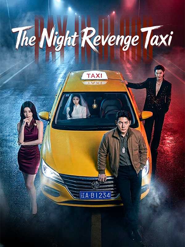 The Night Revenge Taxi poster