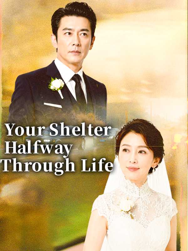 Your Shelter Halfway Through Life poster