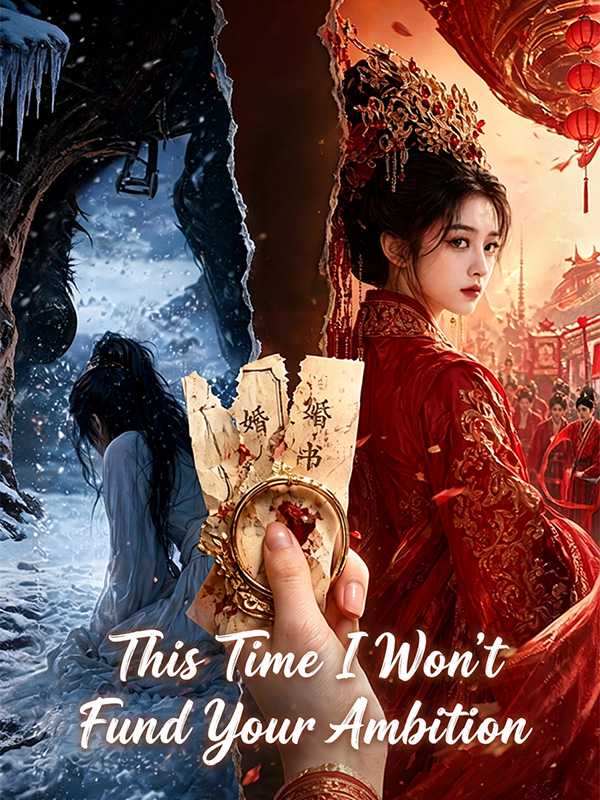 This Time I Won't Fund Your Ambition poster