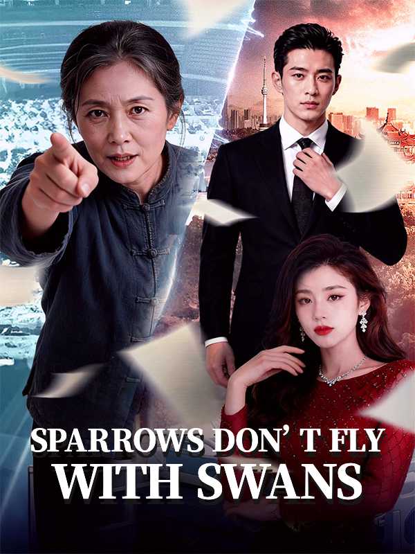 Sparrows Don't Fly with Swans poster