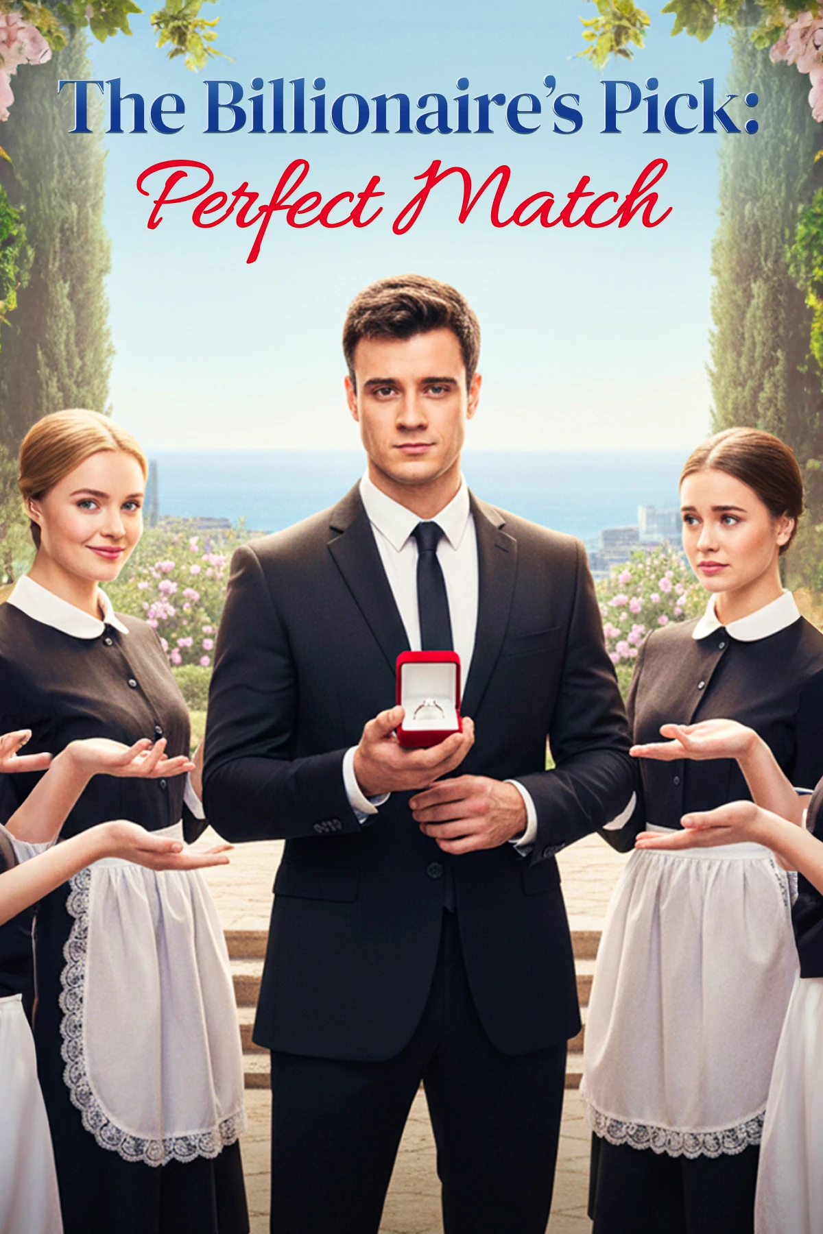 The Billionaire's Pick: Perfect Match poster
