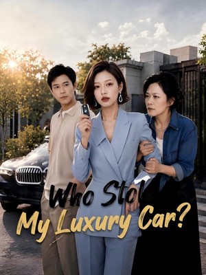 Who Stole My Luxury Car? poster