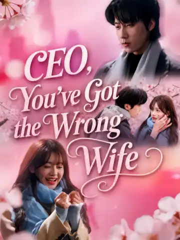 CEO, You've Got the Wrong Wife poster