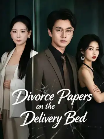 Divorce Papers on the Delivery Bed poster