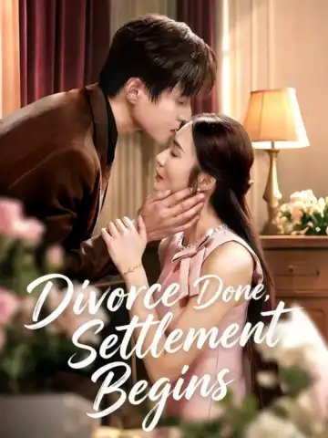 Divorce Done, Settlement Begins poster