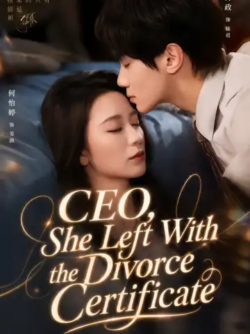 CEO, She Left With the Divorce Certificate poster