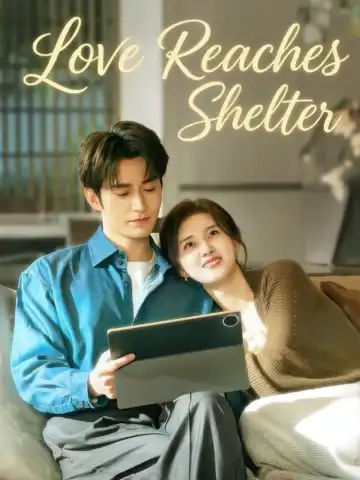 Love Reaches Shelter poster