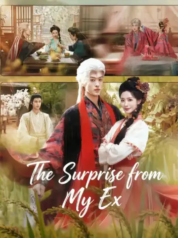 The Surprise from My Ex poster