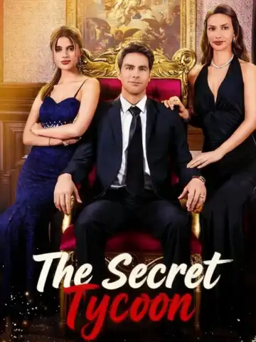 The Secret Tycoon poster