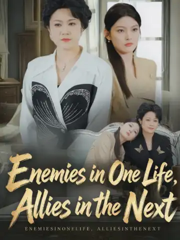 Enemies in One Life, Allies in the Next poster