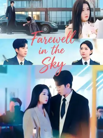 Farewell in the Sky poster