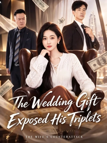 The Wedding Gift Exposed His Triplets poster
