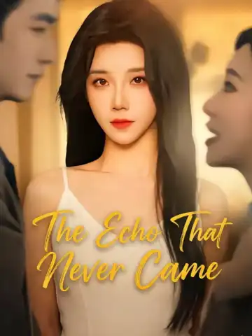 The Echo That Never Came poster
