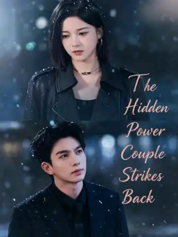 The Hidden Power Couple Strikes Back poster