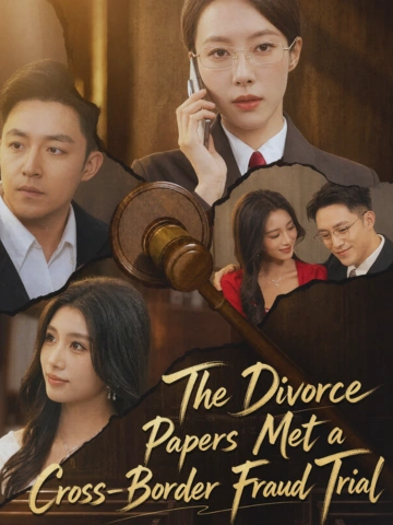 The Divorce Papers Met a Cross-Border Fraud Trial poster