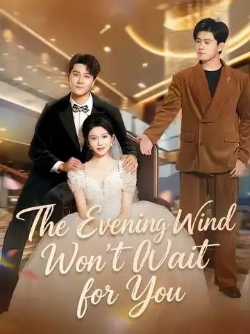 The Evening Wind Won't Wait for You poster