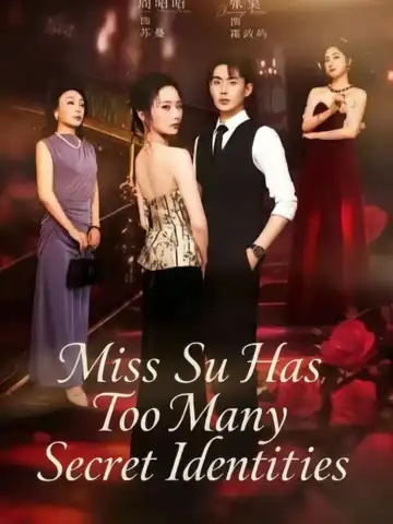 Miss Su Has Too Many Secret Identities poster