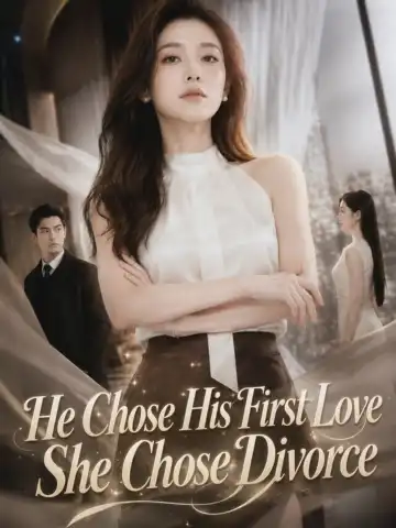 He Chose His First Love, She Chose Divorce poster
