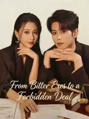 From Bitter Exes to a Forbidden Deal poster