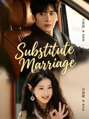 Substitute Marriage poster
